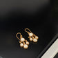 Nargis Fish Hoop Earrings